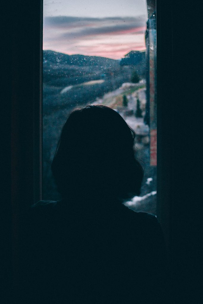 women's silhouette facing window looking at countryside